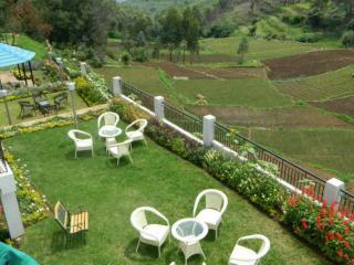 Mount N Mist Hotel Nainital Bagian luar foto